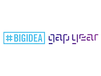 BgIDEA2.d110a0